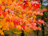 살아생전 꼭 가봐야하는 산골가든