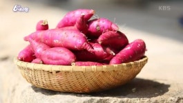 삼기농협경제사업종합센터