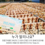 원흥건어물