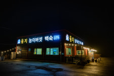 둠지능이버섯백숙