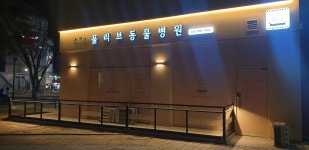 올리브동물병원