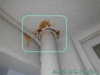 후기