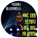 미스터차휘트니스