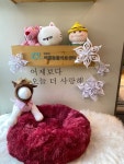 김포 씨엘동물의료센터