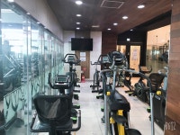 성지스포렉스