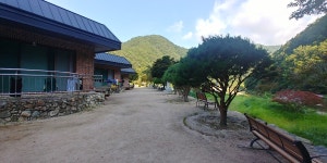 금수펜션
