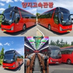 양지고속관광