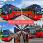 양지고속관광