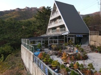 금산그랜드분재펜션