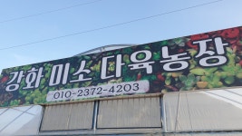 강화미소다육농장