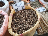 약산약업사