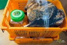 순천이삿짐센터