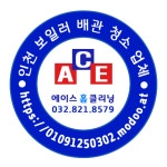 세탁기청소 에이스홈클리닝