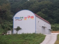 민들레 농장 고구마