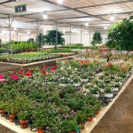 음성화훼집하 영농조합법인