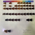 라니헤어 전북대5호점