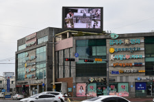 골든디케이