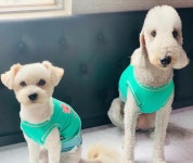 멍앤멍스