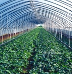 가나안농자재산업