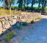 위미동백빌리지