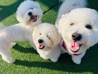 멍앤멍스