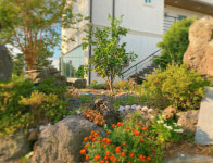 위미동백빌리지