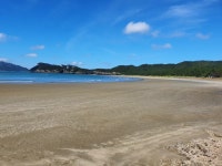 낮술카페&낮잠민박