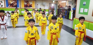 용인대석사 대하태권도