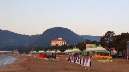 돼지민박