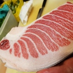다미참치