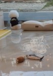 멍멍이미장원