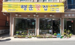 행운꽃집