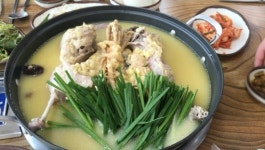 오리세상