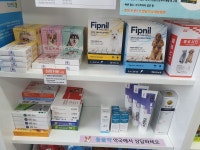 새빛약국