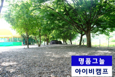 아이비 오토캠핑장