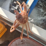 동해수산
