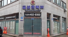 금성전력