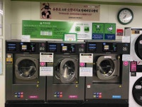 크린토피아 코인워시 서초우면하나로마트점