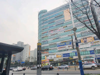 와이즈임플로이먼트코리아 장기사무소