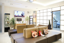 엘앤에스비뇨기과의원