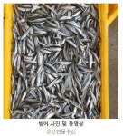 고산민물수산