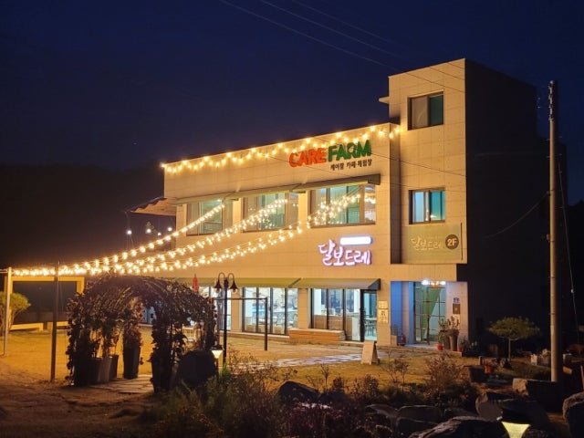 달보드레