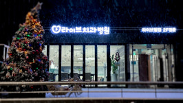 라이브치과병원 서울강남