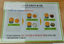슈올즈 남대전점
