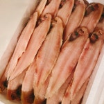 중앙수산유통