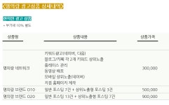 와이앤유컴퍼니