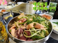 신대장군집