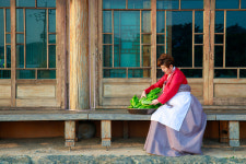 송가네돌산갓김치