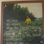 청풍참숯마을