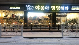 야옹아멍멍해봐 목포 남악점